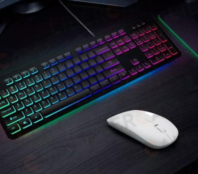 MOUSE INALAMBRICO 2.4GHZ – 10 MTS